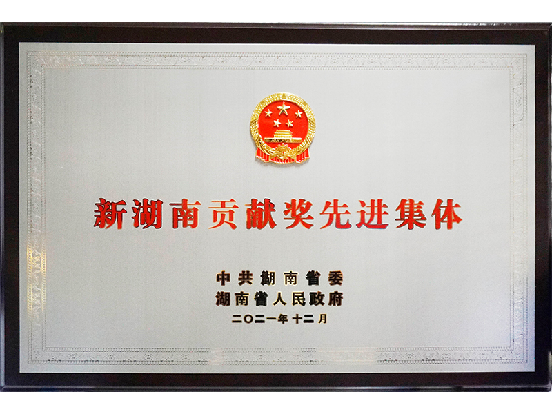 新湖南贡献奖先进集体