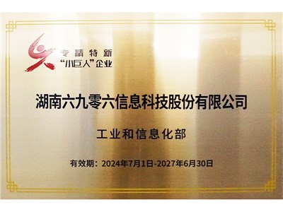 专精特新小巨人企业