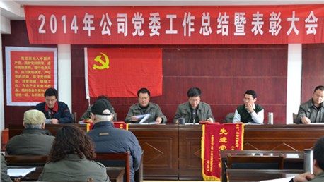 公司召开2014年党委工作总结暨表彰大会